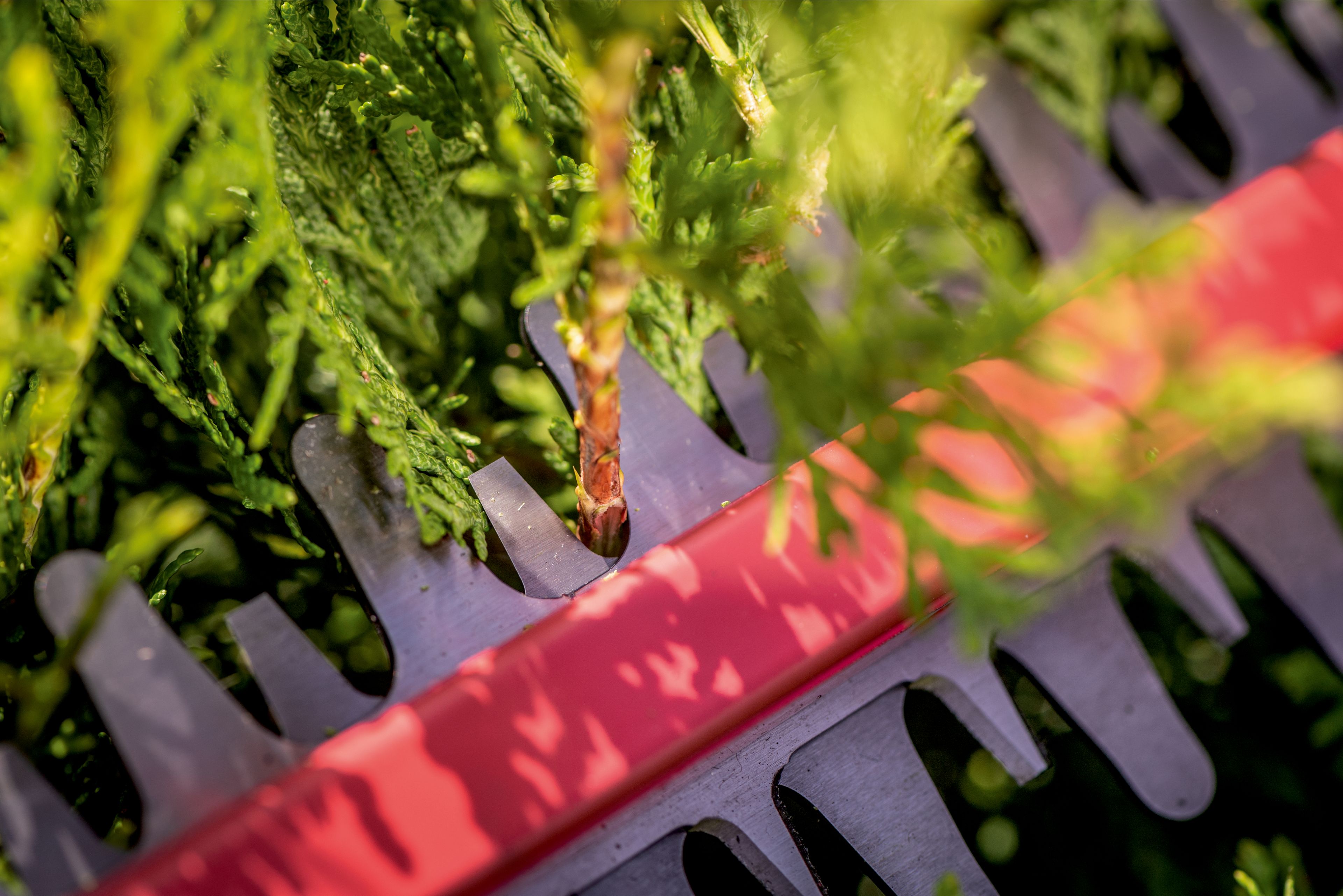 METABO HS 18 LTX 55 Akku-Heckenschere
